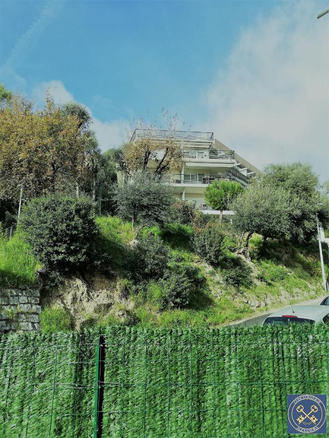 NICE VIEW Jolie Studio avec Jardin Extérieur photo